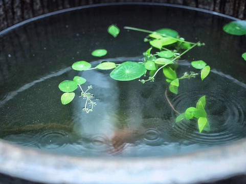 无锡云隐东方·莫宅酒店主图