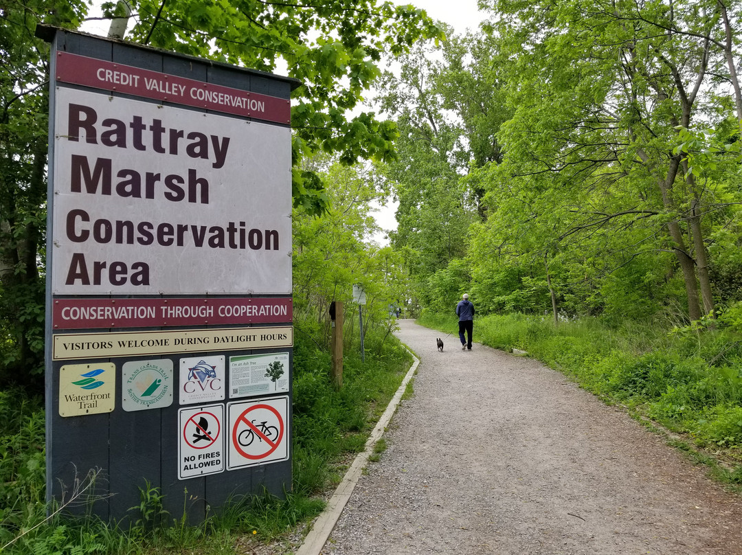 Rattray Marsh Conservation Area景点图片