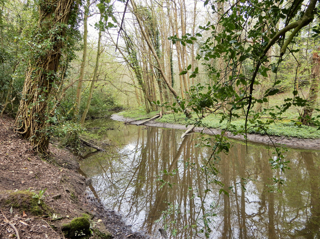 Bromborough旅游景点-Brotherton Nature Park