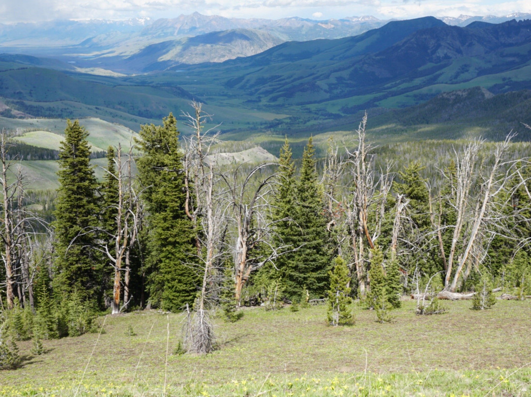Daly Creek Trail-西黄石镇必去景点