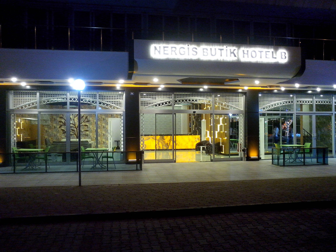Opia Hotel主图