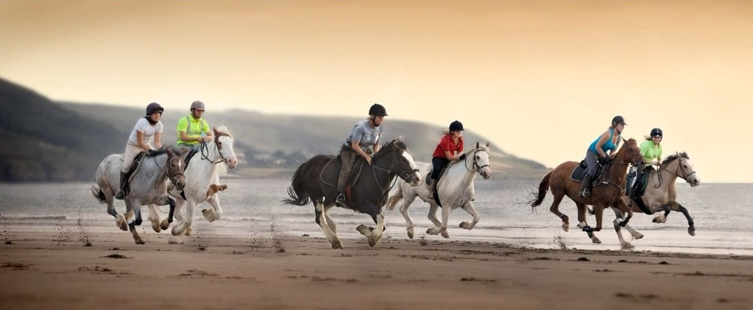 Pony Trekking at Bwlchgwyn Farm景点图片