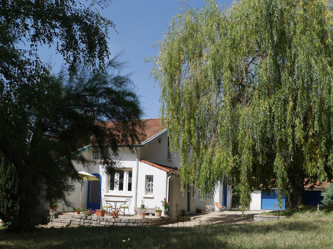 Le Saule Reveur