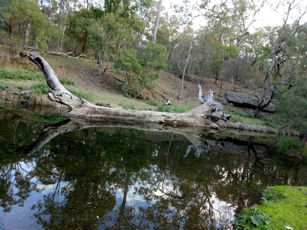 Quirindi旅游景点-Towarri National Park