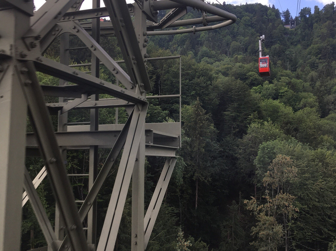 Felsenegg-Stallikon必去景点