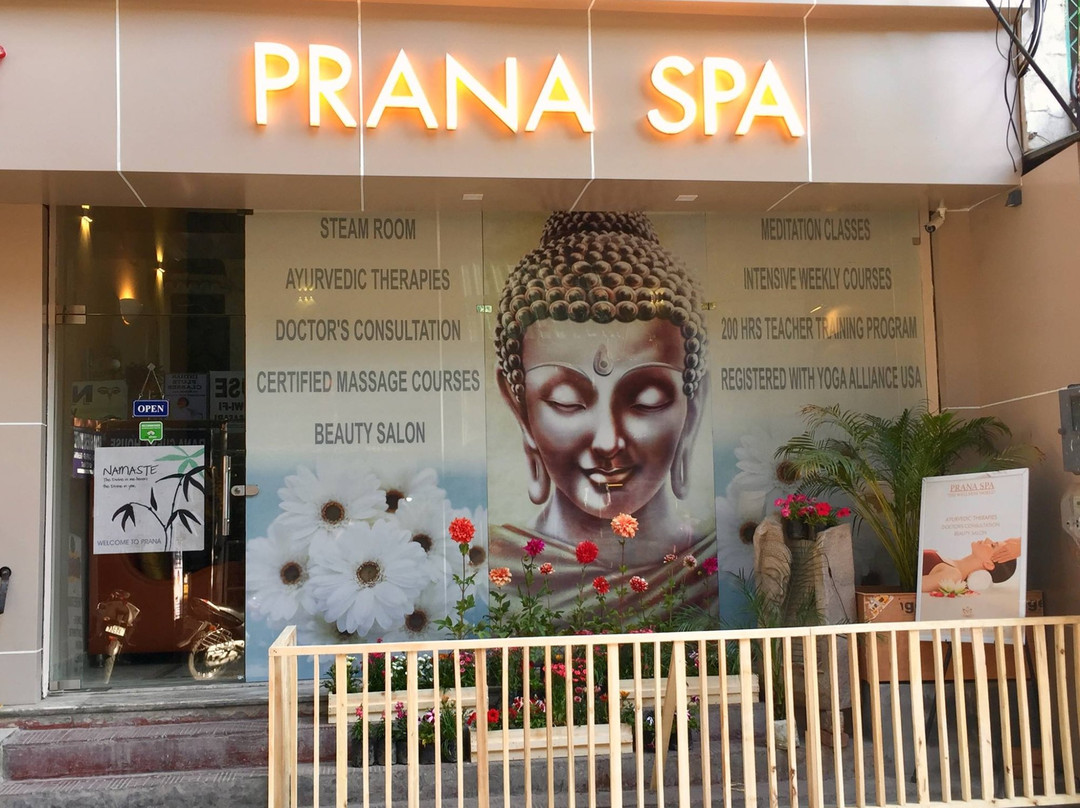 Prana Spa & Salon景点图片