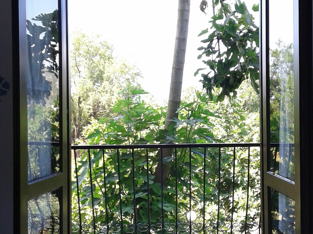 Ece Hotel Bodrum主图