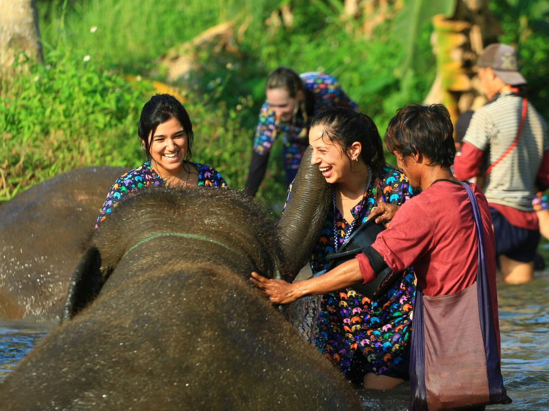 Kanta Elephant Sanctuary景点图片