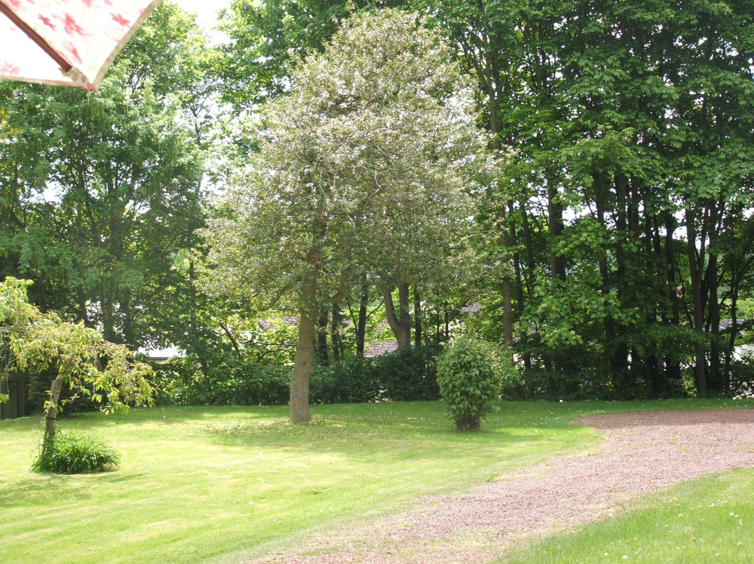 Allerhope House Guest House主图