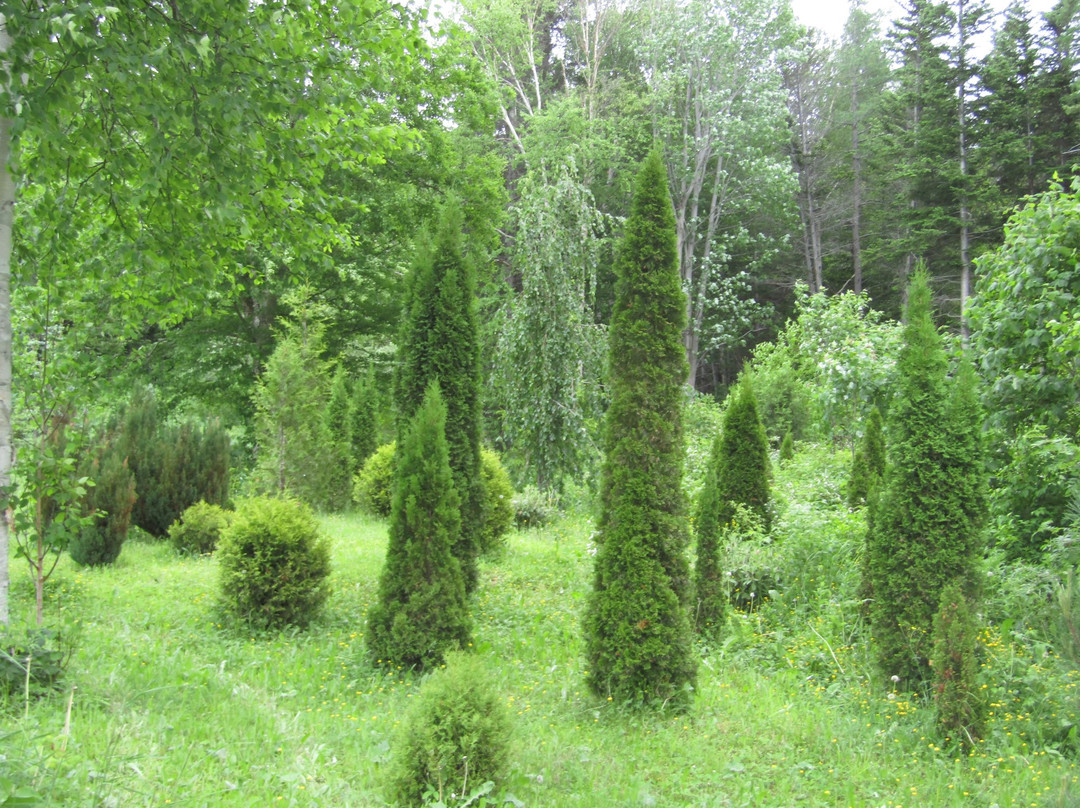 Tuach Garden & Arboretum-圣约翰必去景点