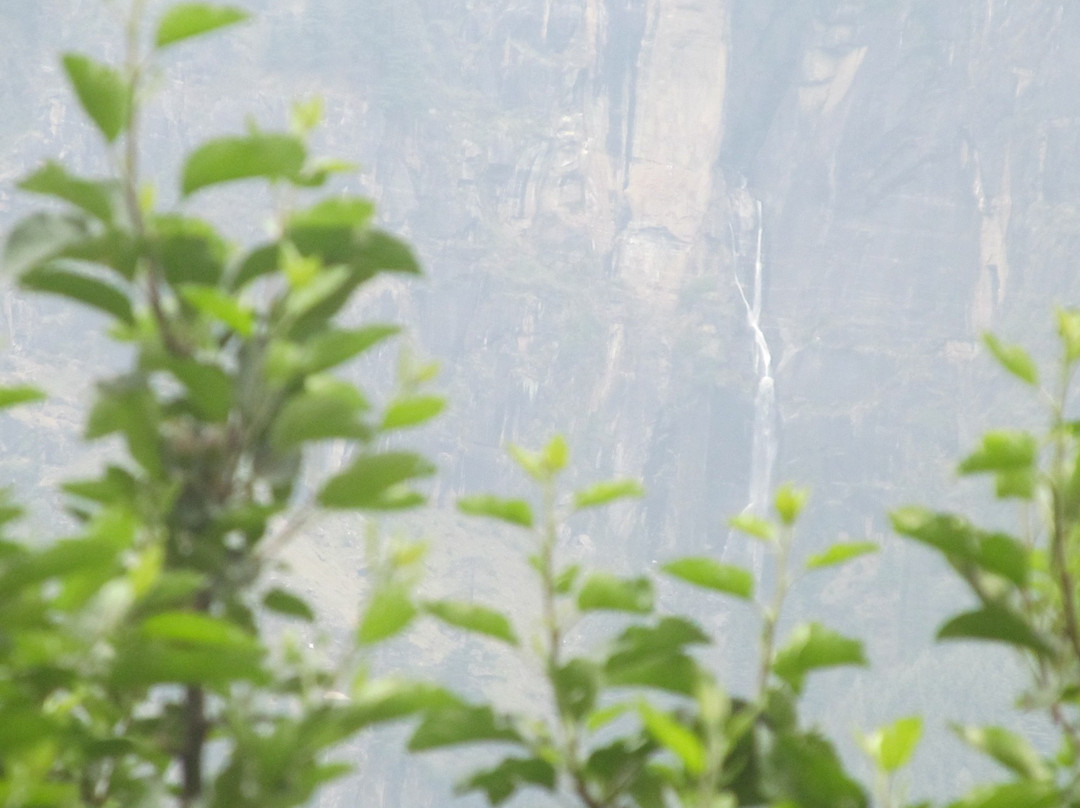 Rock Top Inn Jibhi主图