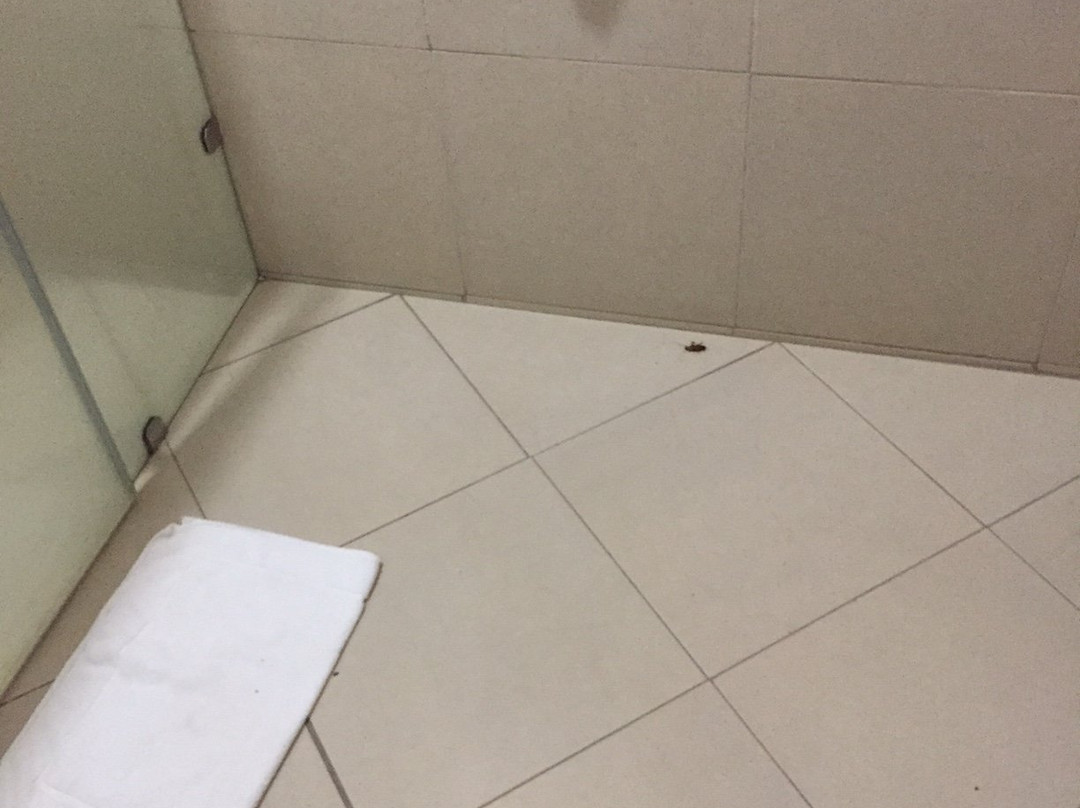 Matices Hotel de Barricas主图