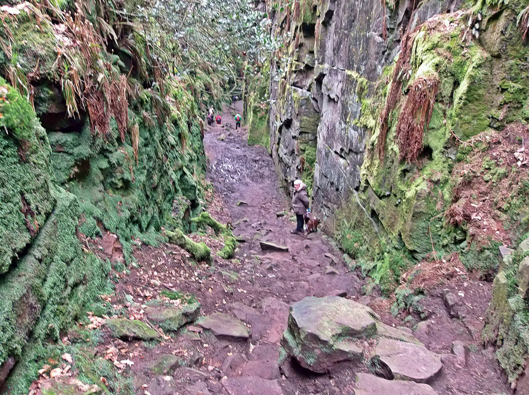 Great Peak District Walks-麦克尔斯菲尔德必去景点