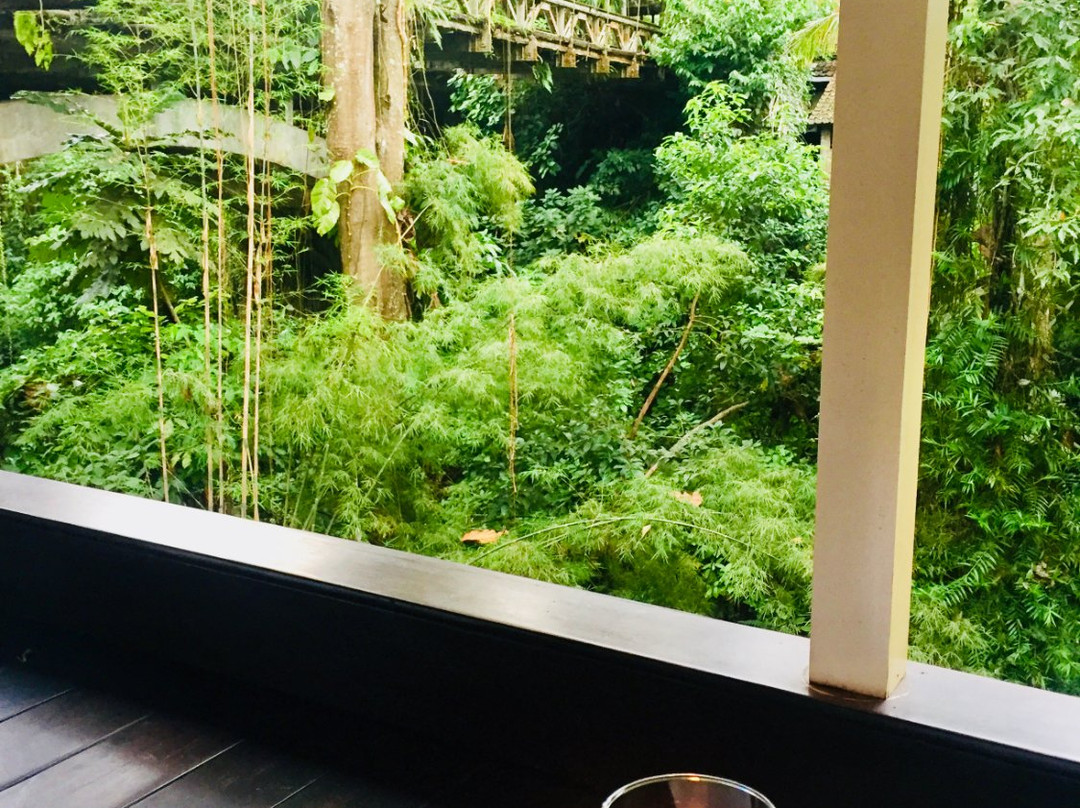 CC Tours and Travel-Buderim必去景点