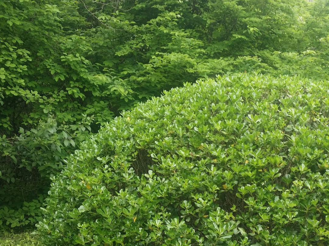 天生桥-溧水县必去景点