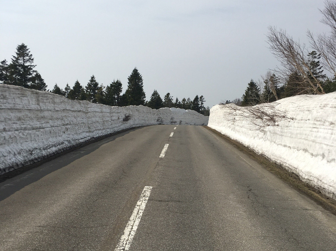 雪廊-青森市必去景点