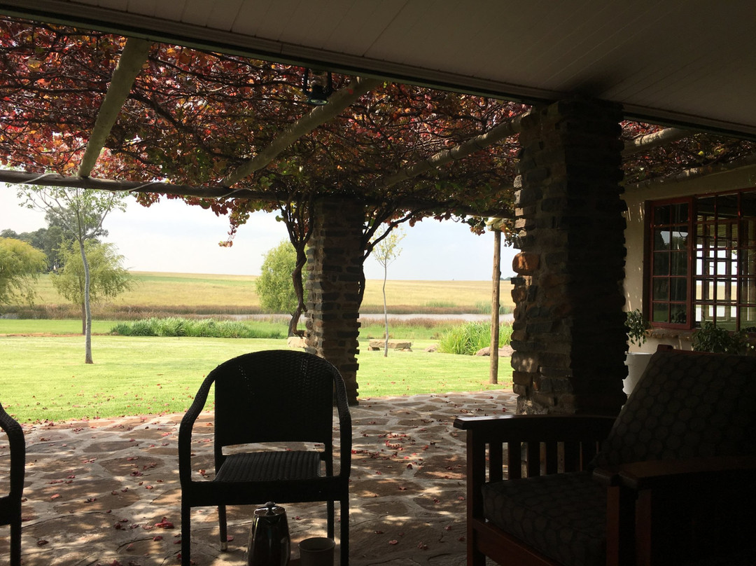 Francolin Creek主图