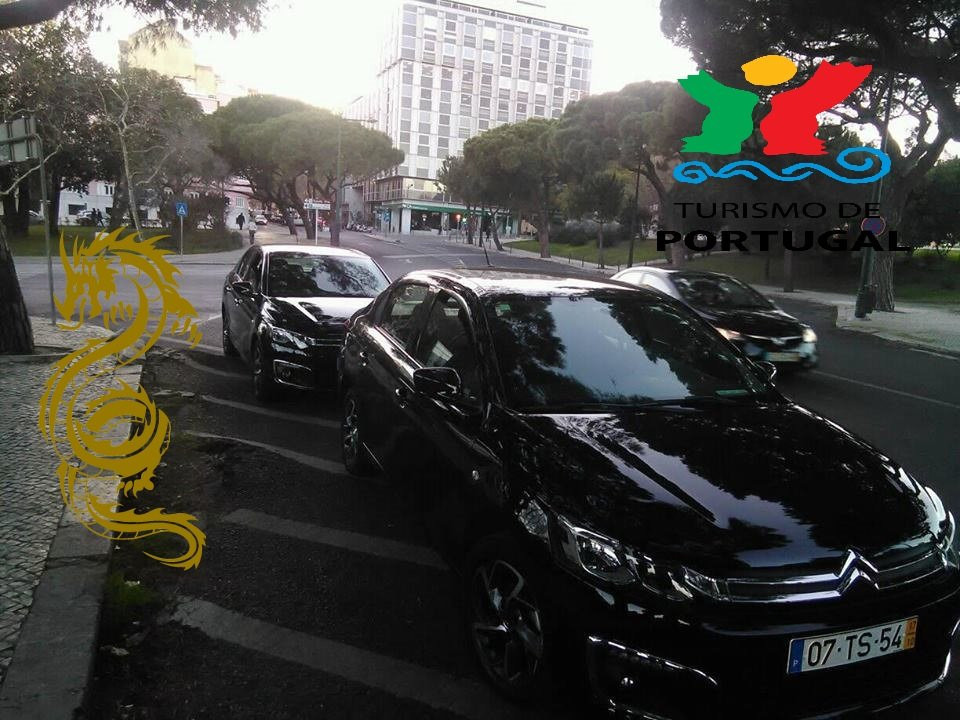 Acrobatic Dragon Private Chauffeur景点图片