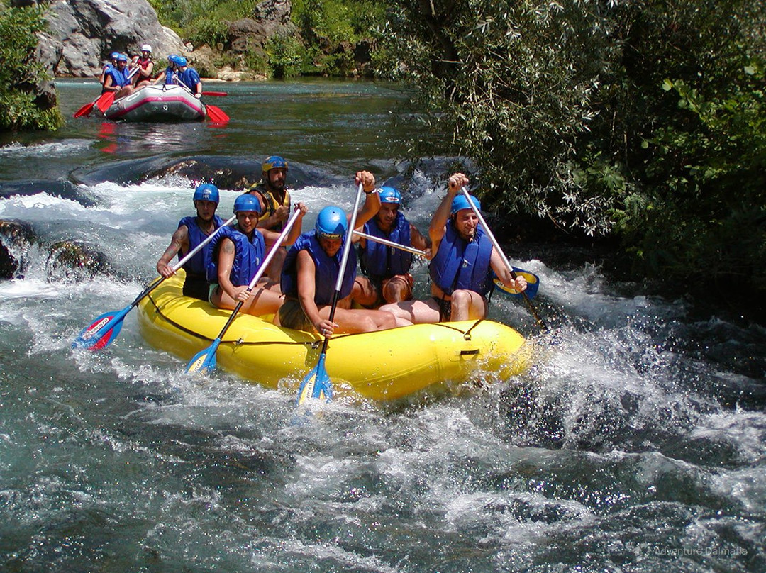 Bulgarian Private Tours & Transfers景点图片
