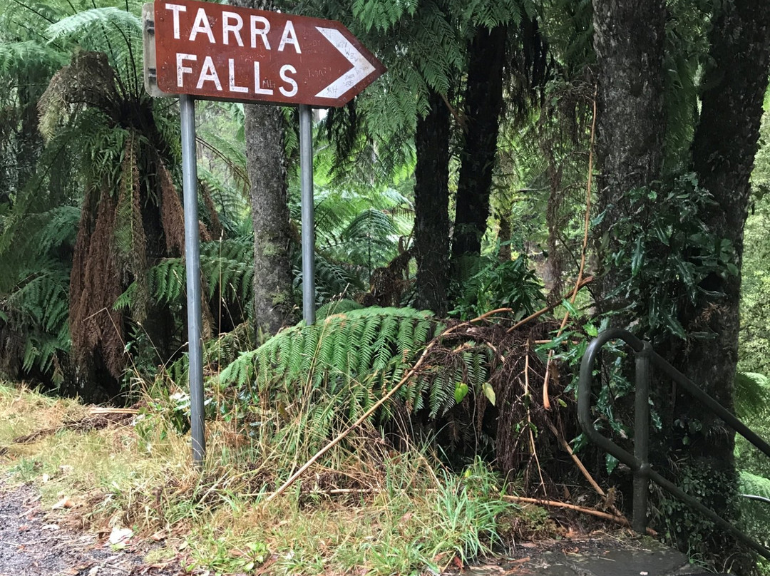 Tarra Falls-Tarra Valley必去景点