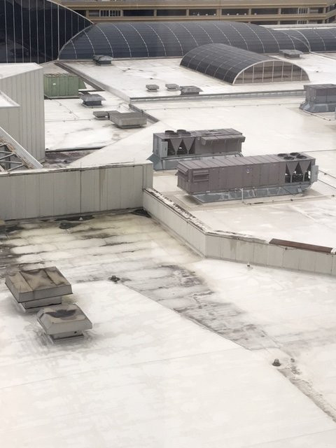 伯明翰凯悦酒店主图