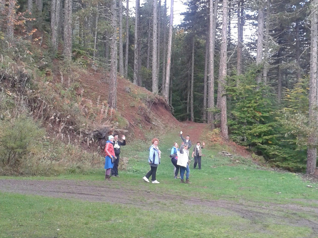 Valia Calda Hotel主图