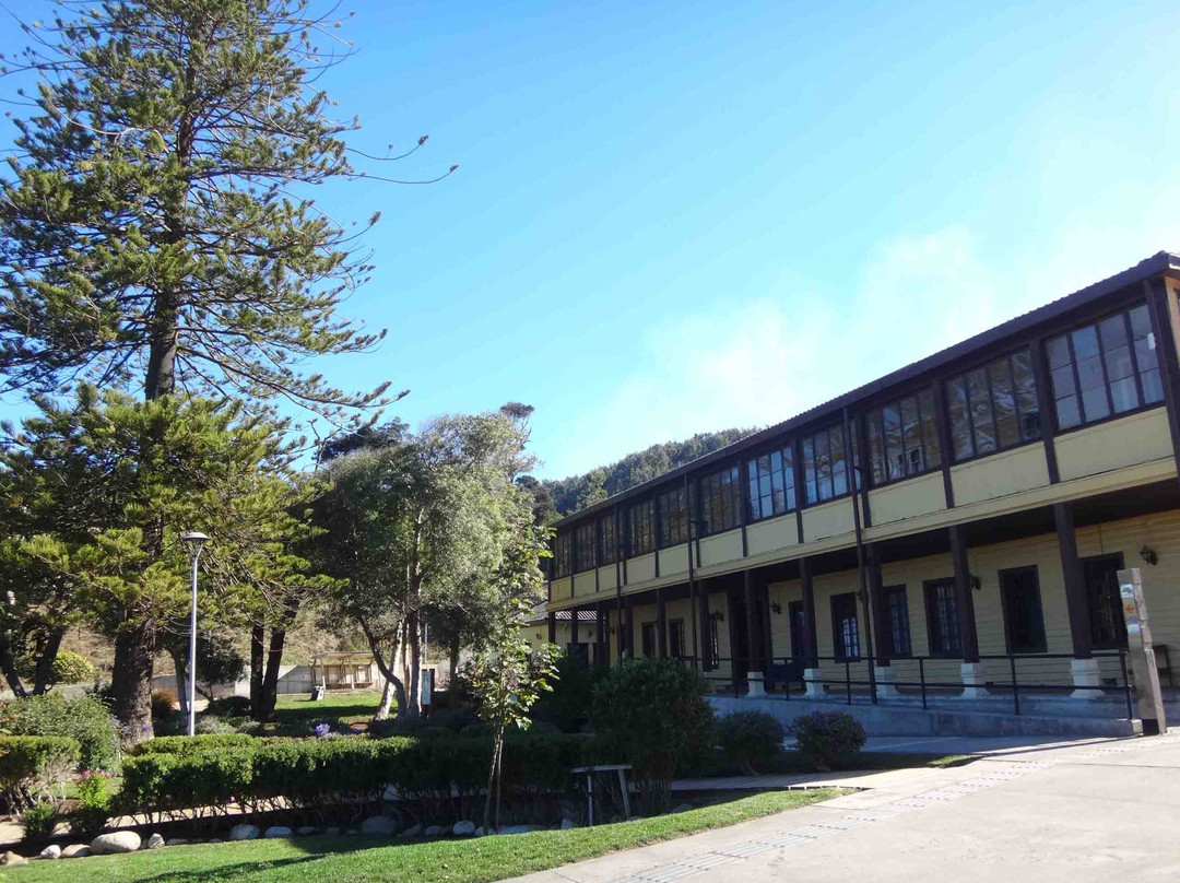 Parque del Carbon-Lebu必去景点