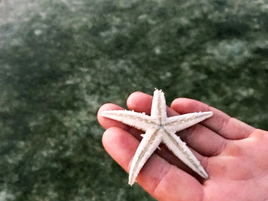 Marikaban Beach-圣菲必去景点