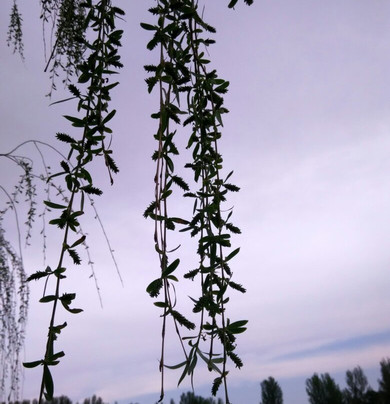 翁牛特旗红山湖-翁牛特旗必去景点