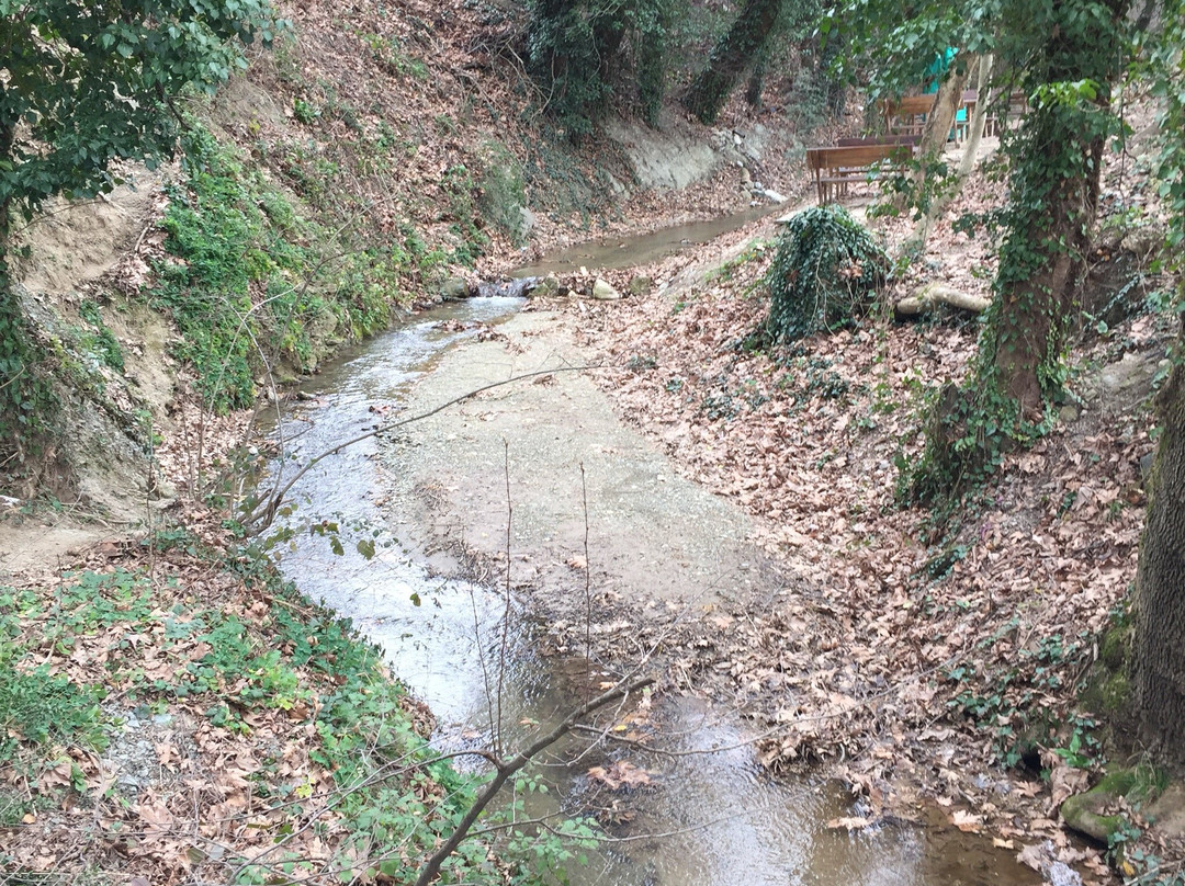 Gumustepe餐馆和美食-Nilufer Bagevi
