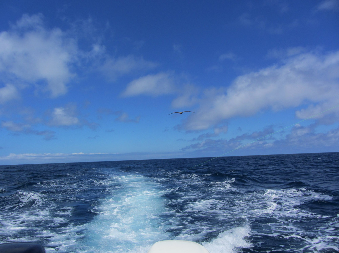 Playa Mendieta-帕拉卡斯必去景点