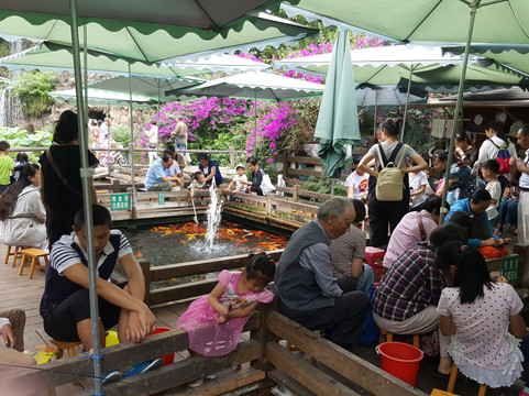 百花潭公园-成都必去景点