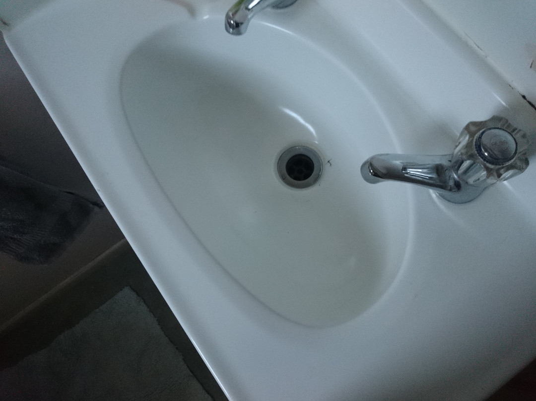 Waitomo Big Bird Bed & Breakfast主图