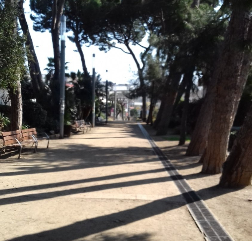 Parc Nadal景点图片
