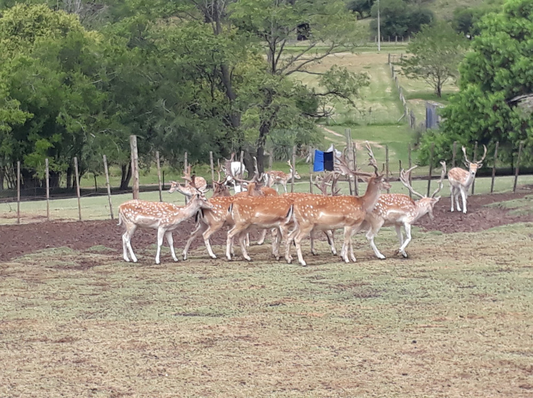 Parque Lecocq-蒙得维的亚必去景点