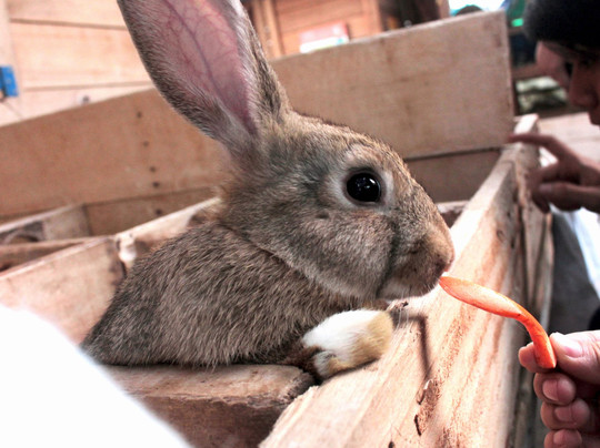 KidZoo PVJ-万隆必去景点