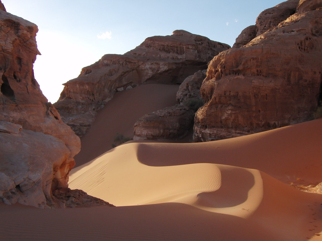 Bedouin Discovery Tours-佩特拉必去景点