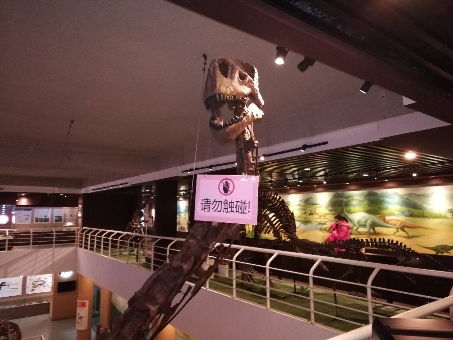 中国古动物馆景点图片