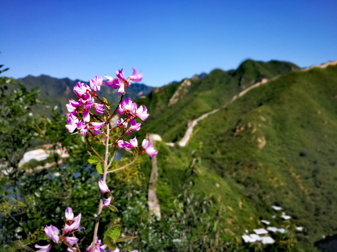 黄花城长城-北京市必去景点