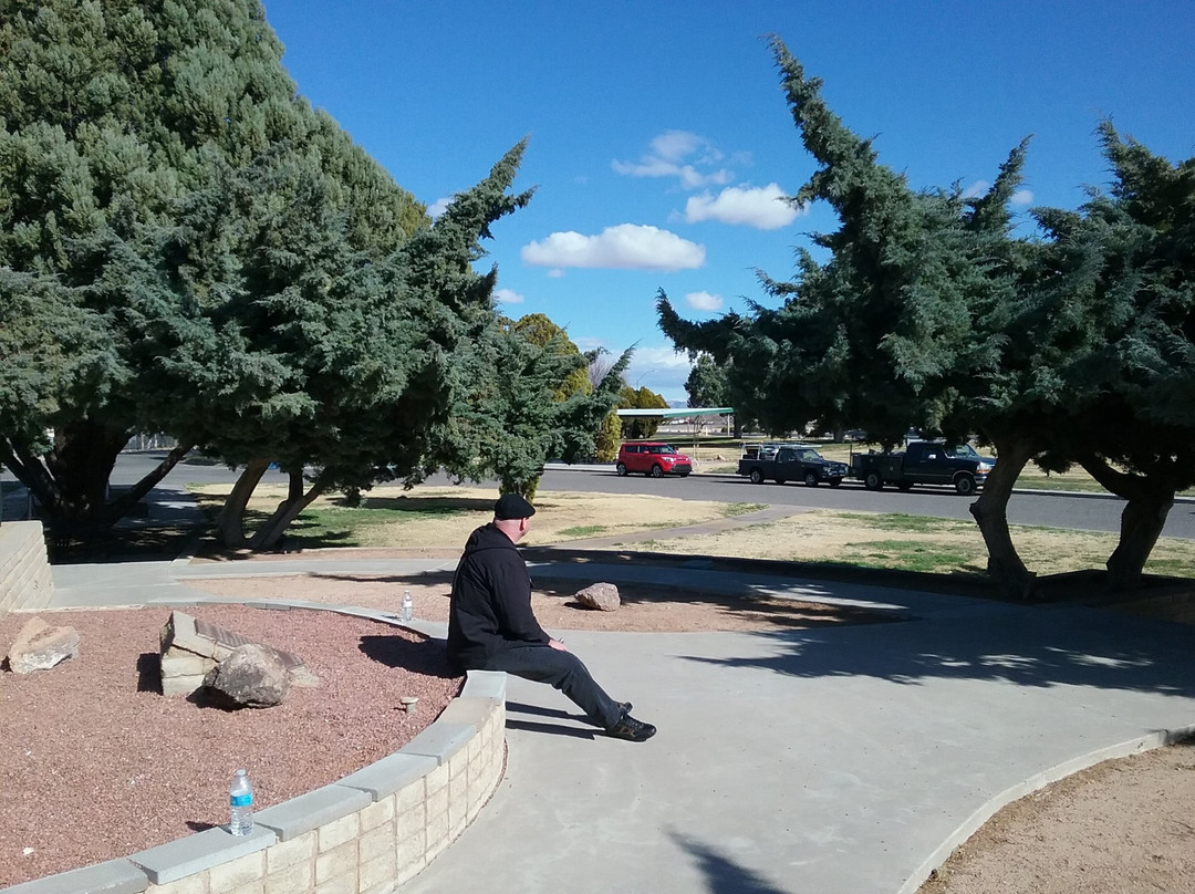 Lewis Kingman Park-金曼必去景点