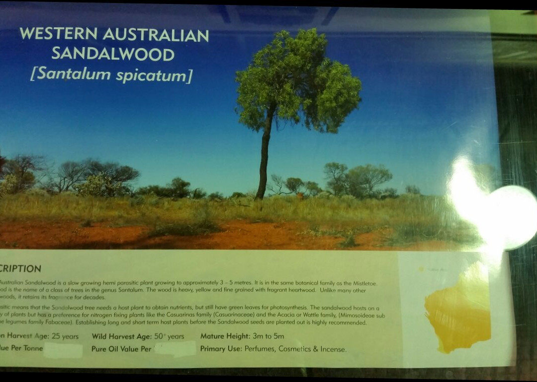 The Sandalwood Shop-奥尔巴尼必去景点