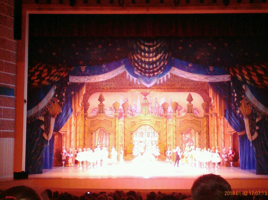 Primorsky Stage of Mariinsky Theatre景点图片