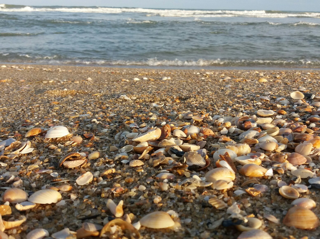 Ervino Beach-Sao Francisco do Sul必去景点