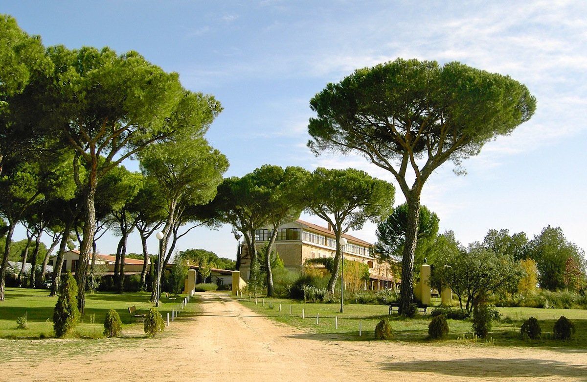 La Posada Real del Pinar-官方