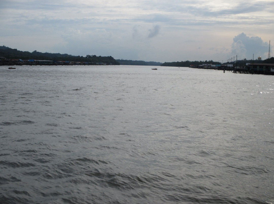 Brunei River景点图片