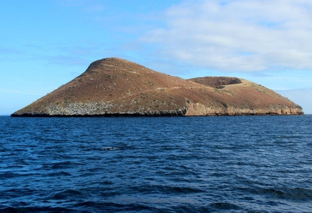 Seymour Island旅游攻略图片