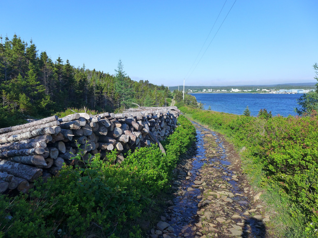 Murphy's Cove Lodge's Pond Trail景点图片