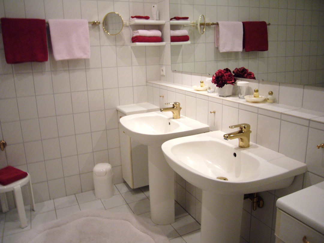 Der Schwan Hotel主图