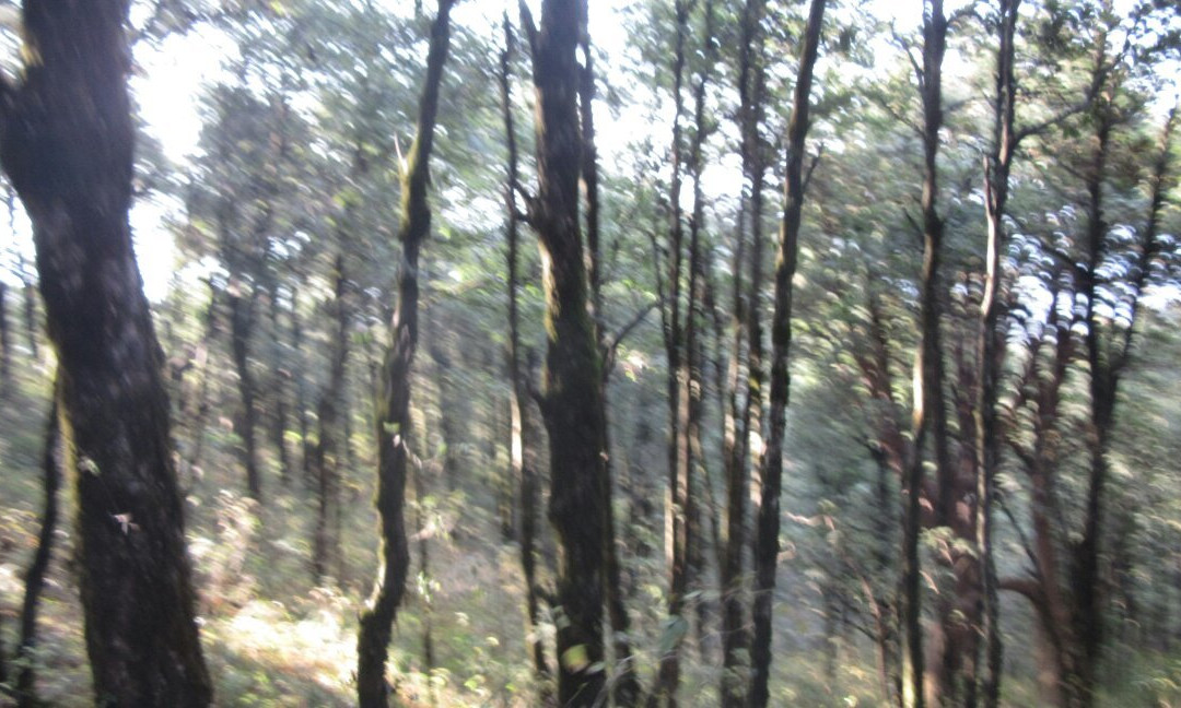 Nainital Ropeway景点图片