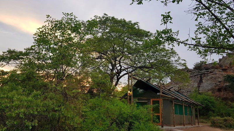Awelani Lodge & Eco-Tourism Park景点图片